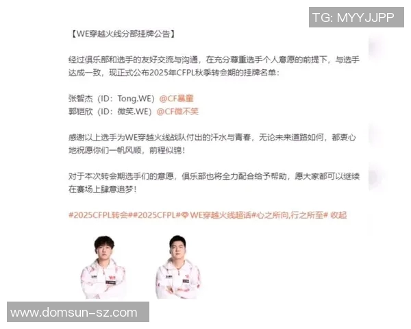 Major赛积分榜WE战队以61分稳居第一位置引领全局