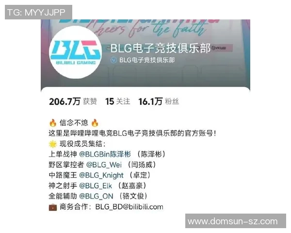 S15电竞挑战者杯V5战队配合表现深度分析与点评