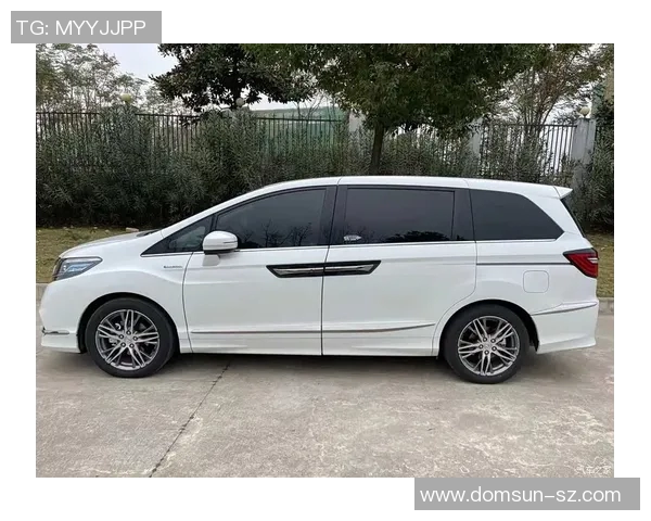 TES在世界冠军杯中的技术表现全解析与深度点评